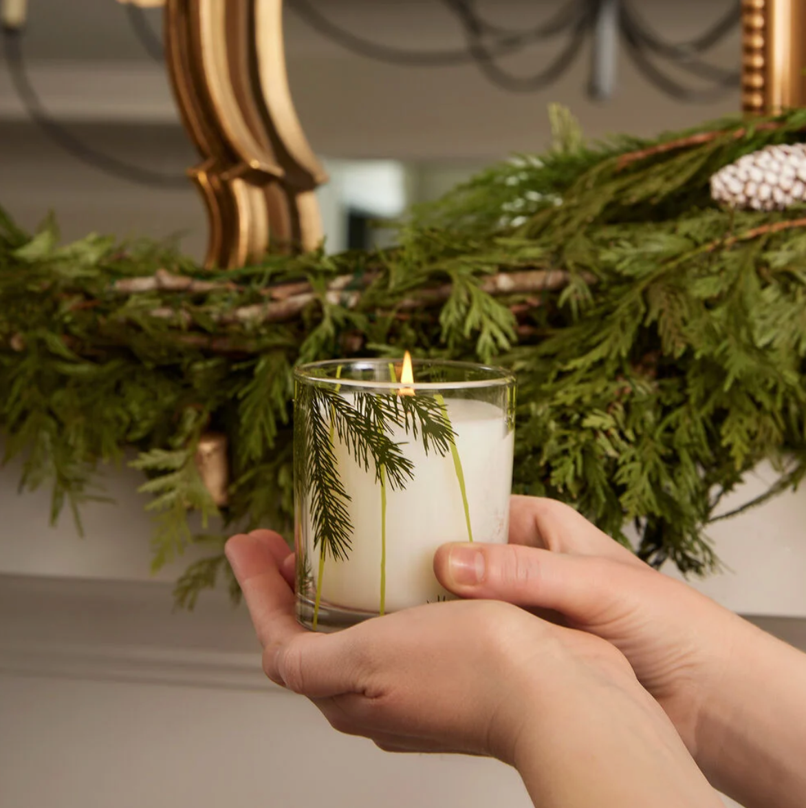 Thymes Frasier Fir Pine Needle 6.5oz Poured Candle